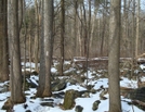 A.t. North Of Old P.a. Route 16, Pa, 01/16/10 by Irish Eddy in Views in Maryland & Pennsylvania