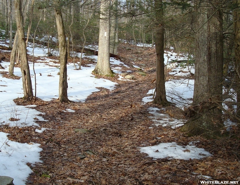 A. T. North Of Mentzer Gap Road, Pa, 01/16/10