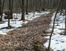 A. T. At Rattlesnake Road Crossing, Pa, 01/16/10 by Irish Eddy in Views in Maryland & Pennsylvania