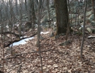 A. T. At Rattlesnake Road Crossing, Pa, 01/16/10 by Irish Eddy in Views in Maryland & Pennsylvania