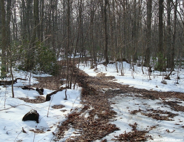 A. T. Crossing At Woodring Lane, Pa, 01/17/10