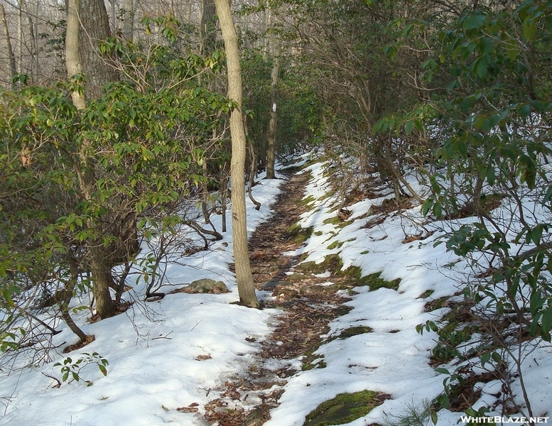 A. T. Near Bailey Spring, Pa, 01/16/10