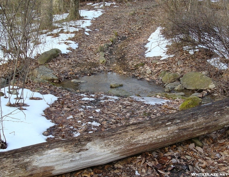 Deer Lick Shelters, P A, 01/16/10