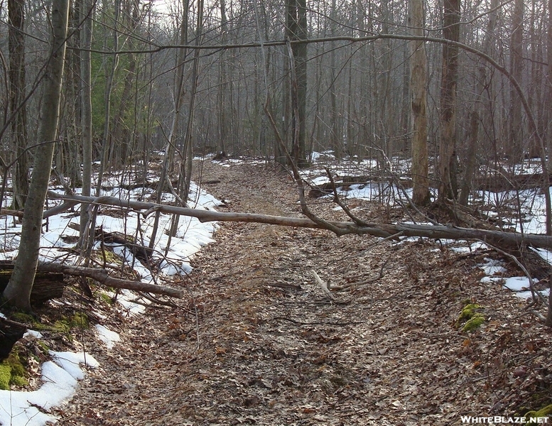 A. T. North Of Deer Lick Run, P A, 01/16/10