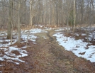 A. T. Crossing At Pipeline Clearing, P A, 01/16/10 by Irish Eddy in Views in Maryland & Pennsylvania