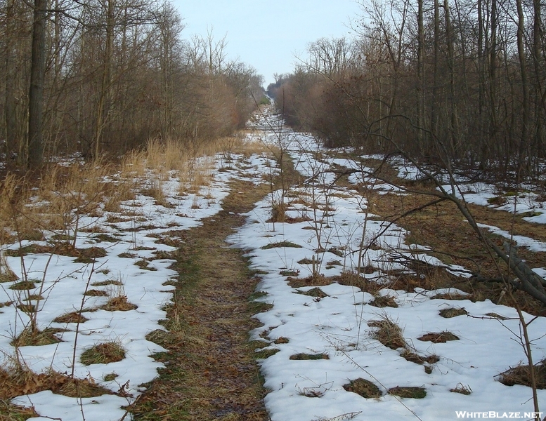 A. T. Crossing At Pipeline Clearing, P A, 01/16/10