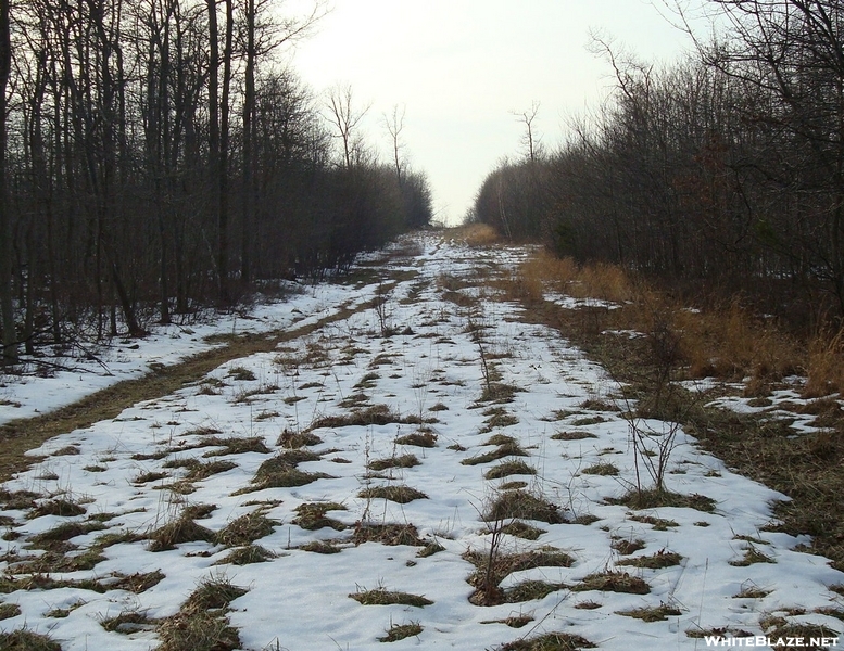 A. T. Crossing At Pipeline Clearing, P A, 01/16/10