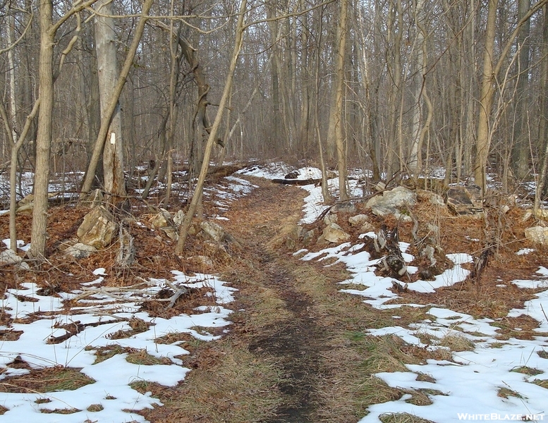 A. T. Crossing At Pipeline Clearing, P A, 01/16/10