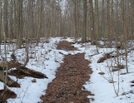 A. T. North Of Deer Lick Run, P A, 01/16/10 by Irish Eddy in Views in Maryland & Pennsylvania