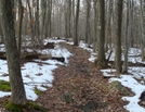 A. T. North Of Deer Lick Run, P A, 01/16/10 by Irish Eddy in Views in Maryland & Pennsylvania