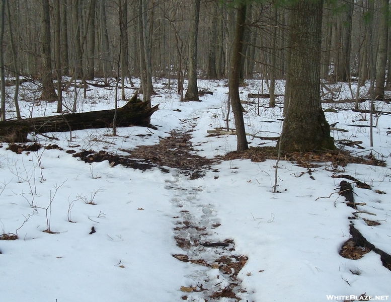 A. T. North Of Deer Lick Run, P A, 01/16/10