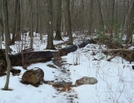 A. T. North Of Deer Lick Run, P A, 01/16/10 by Irish Eddy in Views in Maryland & Pennsylvania