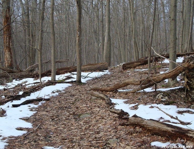 A. T. North Of Deer Lick Run, P A, 01/16/10