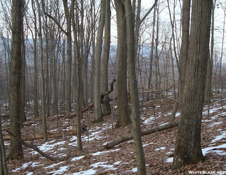 A. T. North Of Deer Lick Run, P A, 01/16/10