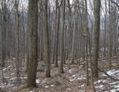 A. T. North Of Deer Lick Run, P A, 01/16/10 by Irish Eddy in Views in Maryland & Pennsylvania