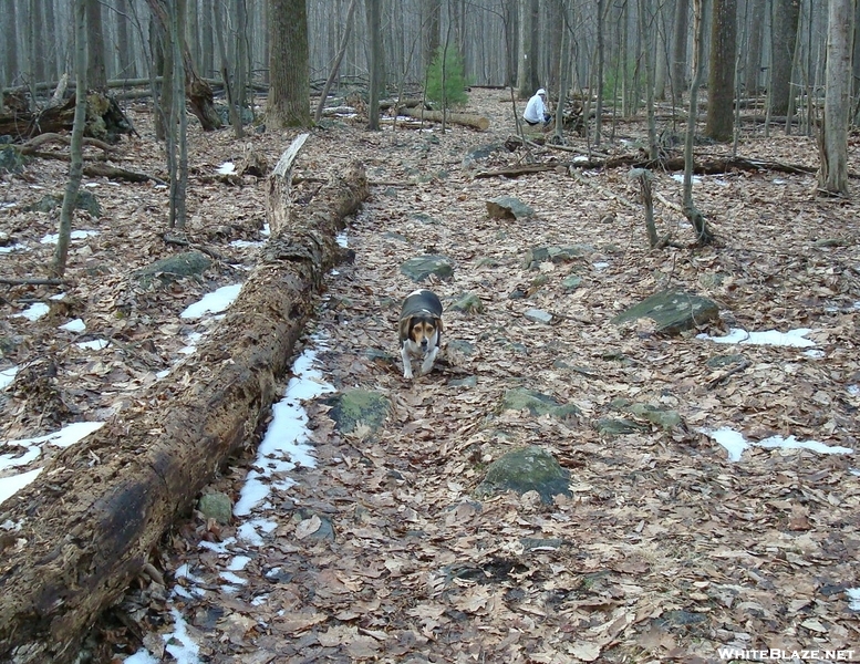 A. T. North Of Deer Lick Run, P A, 01/16/10