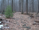 A. T. North Of Deer Lick Run, P A, 01/16/10 by Irish Eddy in Views in Maryland & Pennsylvania