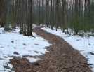 A. T. North Of Deer Lick Run, P A, 01/16/10 by Irish Eddy in Views in Maryland & Pennsylvania