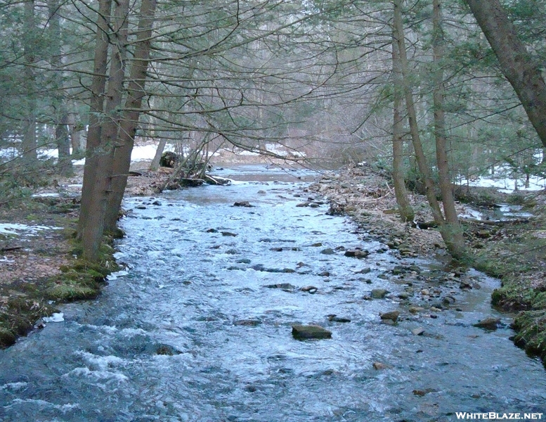 Antietam Creek East Branch, P A, 01/16/10