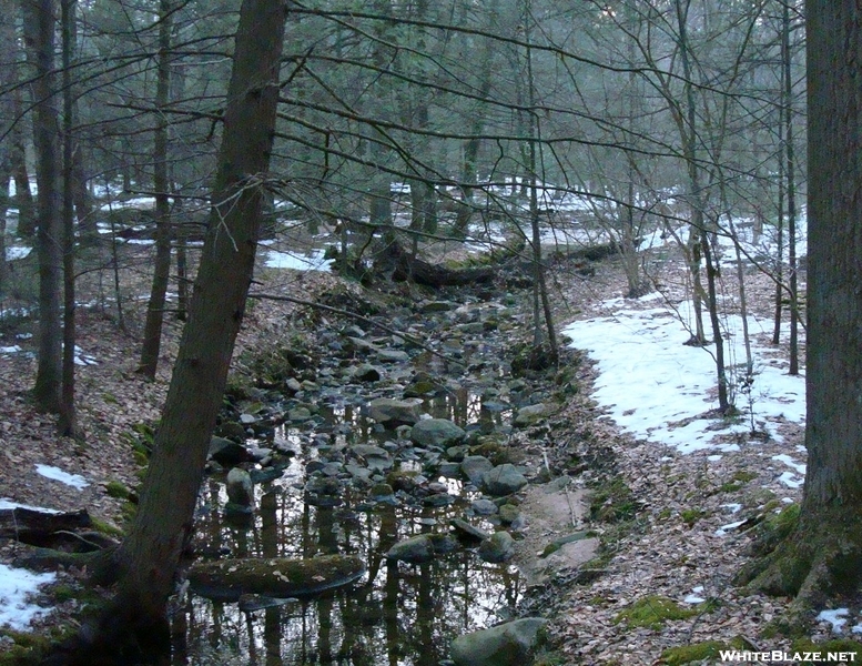 Antietam Creek East Branch, P A, 01/16/10