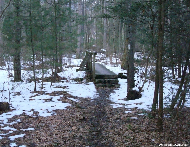 Old Forge Park, P A, 01/16/10