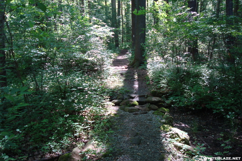 A. T. North Of Old Forge Park, P A, 05/30/10