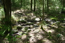 A. T. North Of Rattlesnake Road, P A, 05/30/10 by Irish Eddy in Views in Maryland & Pennsylvania