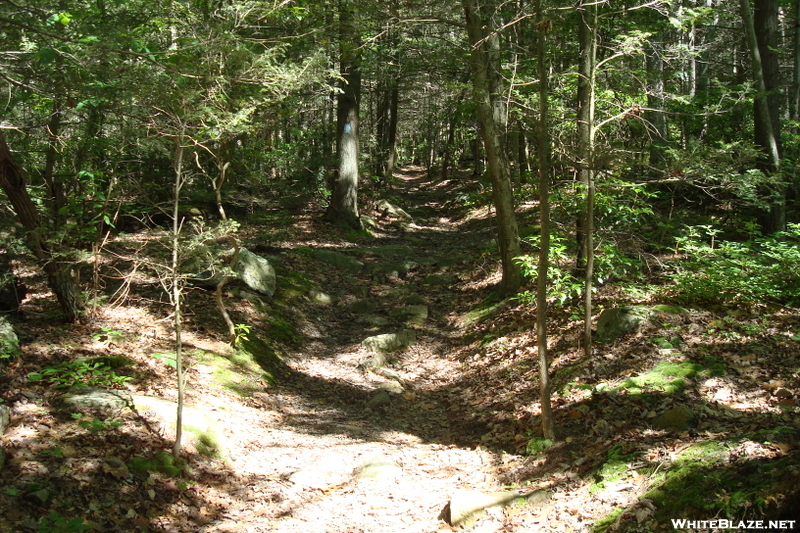 Tumbling Run Shelters, P A, 05/30/10