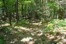 A. T. Ascent Of Buzzard Peak, P A, 05/30/10 by Irish Eddy in Views in Maryland & Pennsylvania