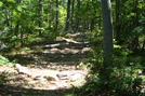 A. T. Ascent Of Buzzard Peak, P A, 05/30/10 by Irish Eddy in Views in Maryland & Pennsylvania