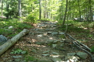 A. T. Ascent Of Buzzard Peak, P A, 05/30/10