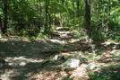 A. T. Asscent Of Buzzard Peak, P A, 05/30/10 by Irish Eddy in Views in Maryland & Pennsylvania