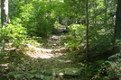 A. T. Ascent Of Buzzard Peak, P A, 05/30/10 by Irish Eddy in Views in Maryland & Pennsylvania