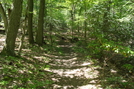 A. T. Ascent Of Buzzard Peak, P A, 05/30/10 by Irish Eddy in Views in Maryland & Pennsylvania