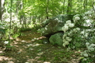 A. T. Ascent Of Buzzard Peak, P A, 05/30/10 by Irish Eddy in Views in Maryland & Pennsylvania