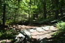 A. T. Ascent Of Buzzard Peak, P A, 05/30/10