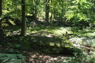 A. T. Ascent Of Buzzard Peak, P A, 05/30/10 by Irish Eddy in Views in Maryland & Pennsylvania