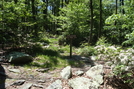 A. T. Marker On Buzzard Peak, P A, 05/30/10