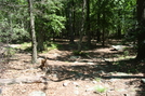 A.t. At Buzzard Peak, Pa, 05/30/10 by Irish Eddy in Views in Maryland & Pennsylvania