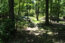 Access Trail To Chimney Rocks, Buzzard Peak, P A, 05/30/10