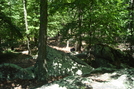 Access Trail To Chimney Rocks, Buzzard Peak, P A, 05/30/10