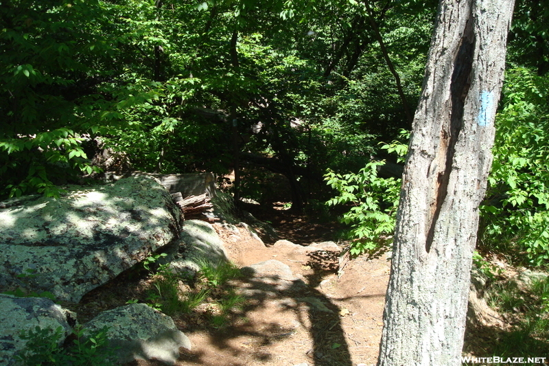 Access Trail To Chimney Rocks, Buzzard Peak, P A, 05/30/10