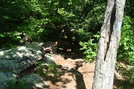 Access Trail To Chimney Rocks, Buzzard Peak, P A, 05/30/10