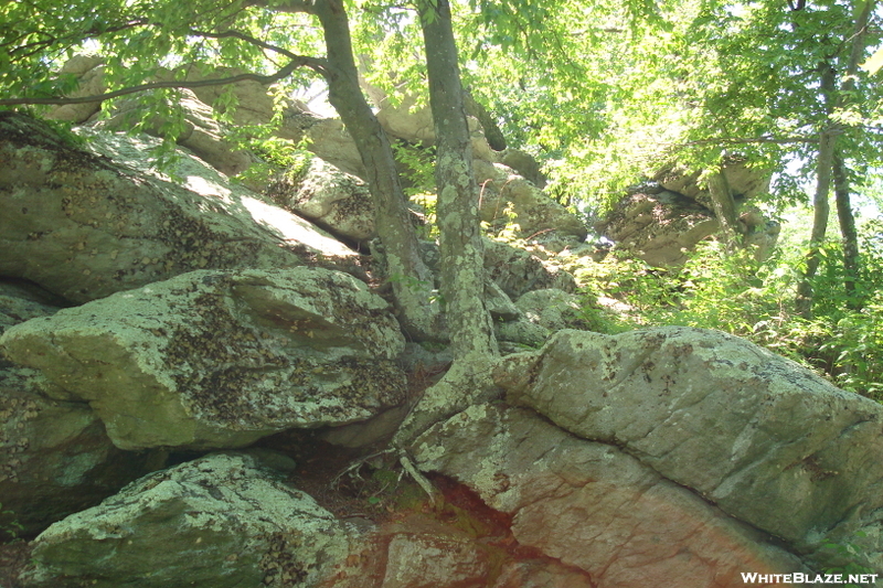 Chimney Rocks On Buzzard Peak, P A, 05/30/10