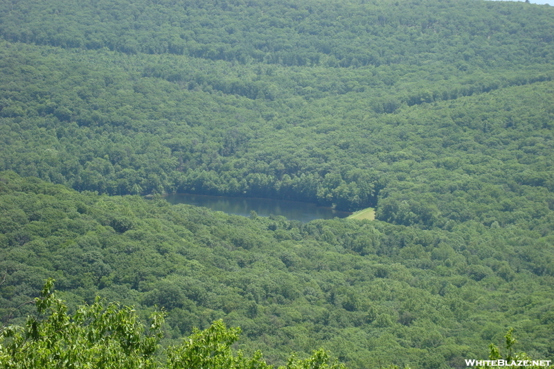 Chimney Rocks, Buzzard Peak, P A, 05/30/10