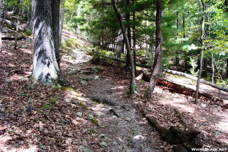 A. T. Ascent Of Chinquapin Hill, Caledonia State Park, P A, 09/04/10