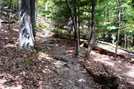 A. T. Ascent Of Chinquapin Hill, Caledonia State Park, P A, 09/04/10 by Irish Eddy in Views in Maryland & Pennsylvania