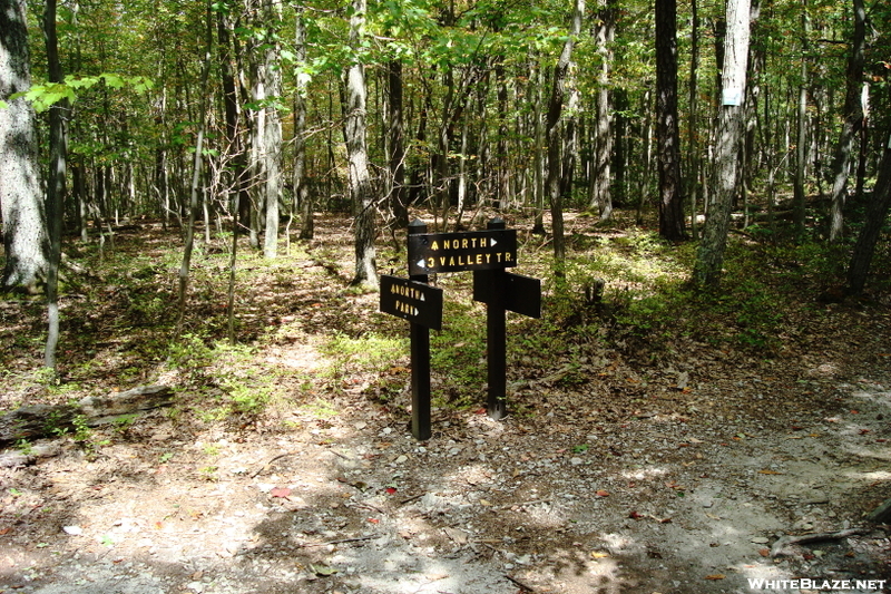 A. T. On Chinquapin Hill, Caledonia State Park, P A, 09/04/10