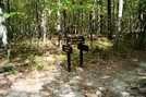 A. T. On Chinquapin Hill, Caledonia State Park, P A, 09/04/10