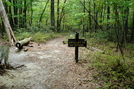 A. T. On Chinquapin Hill, Caledonia State Park, P A, 09/04/10 by Irish Eddy in Views in Maryland & Pennsylvania